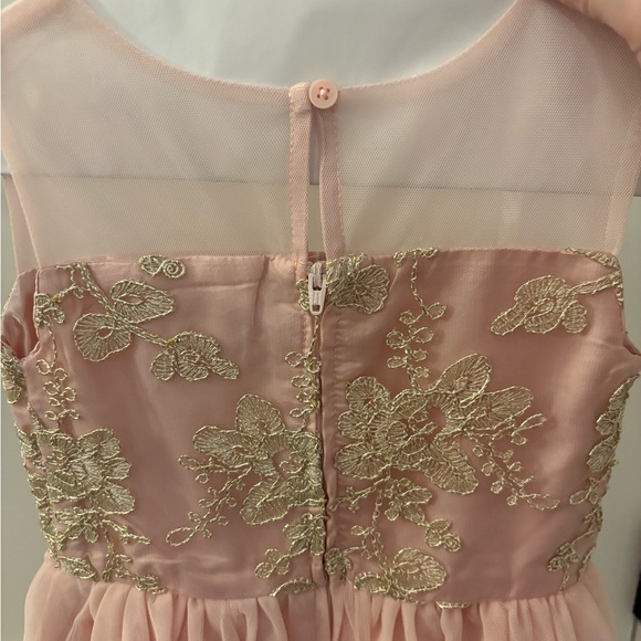Place Girls' Blush Pink Tulle Dress with Gold Embroidery - Picture 4 of 5